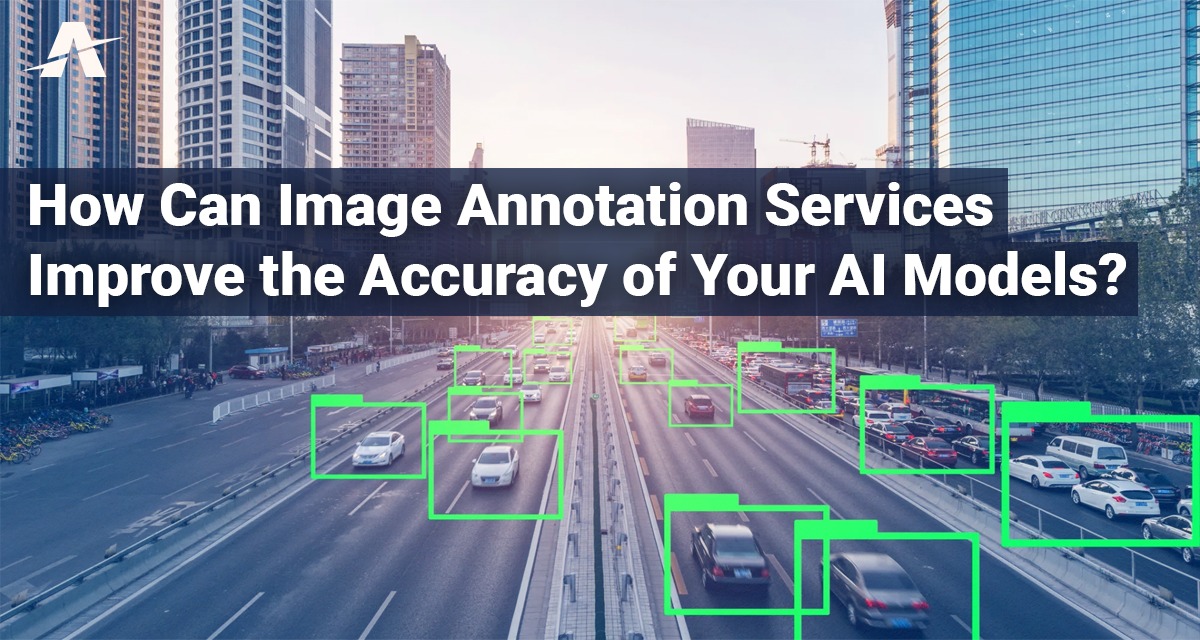 How Can Image Annotation Services Improve the Accuracy of Your AI Models?