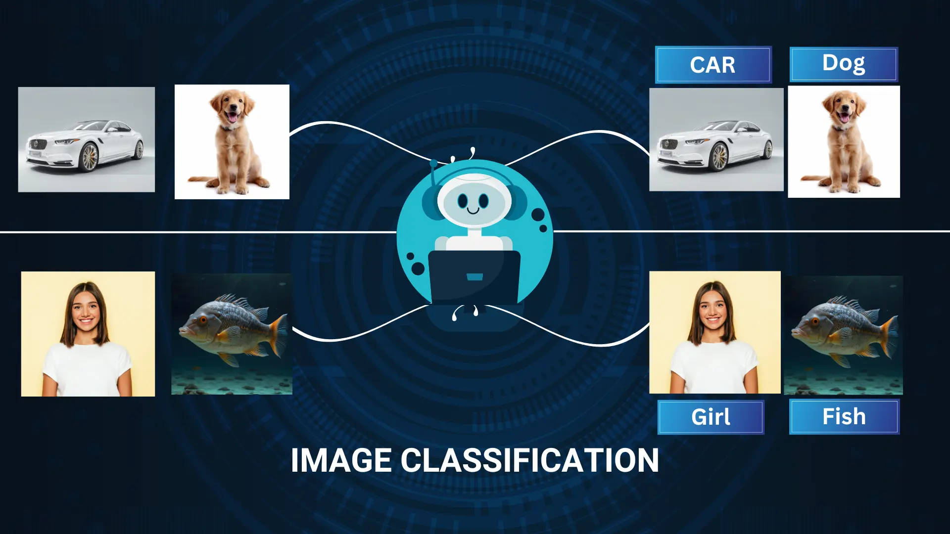 Image Classification